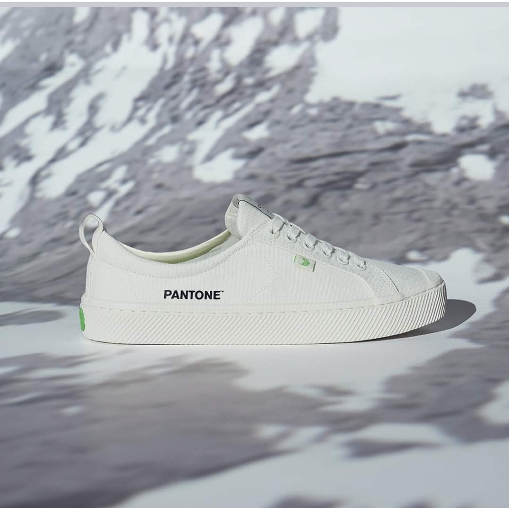 NEW Cariuma X Pantone OCA Low Snow White Canvas Sneaker Unisex Organic 10W